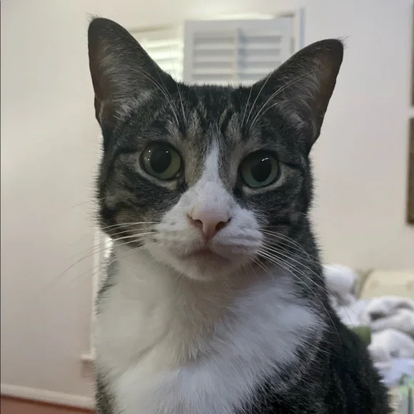 Meet the Posher - Picture 3 of 6